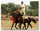 Bateshwar Horse Show
